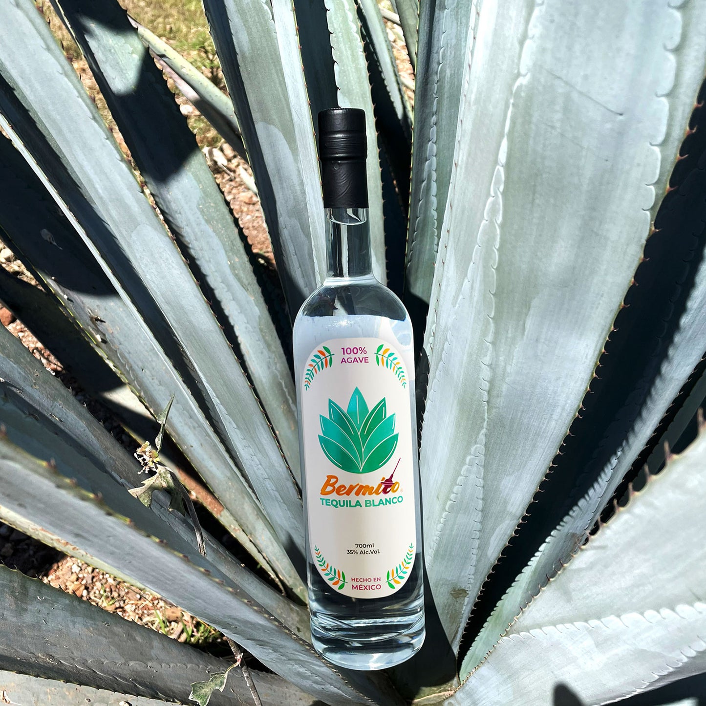 Bermito Tequila Blanco,100% Agave, 35% Alc.Vol. 0,7 l - Produziert in Mexiko mit Liebe aus Berlin